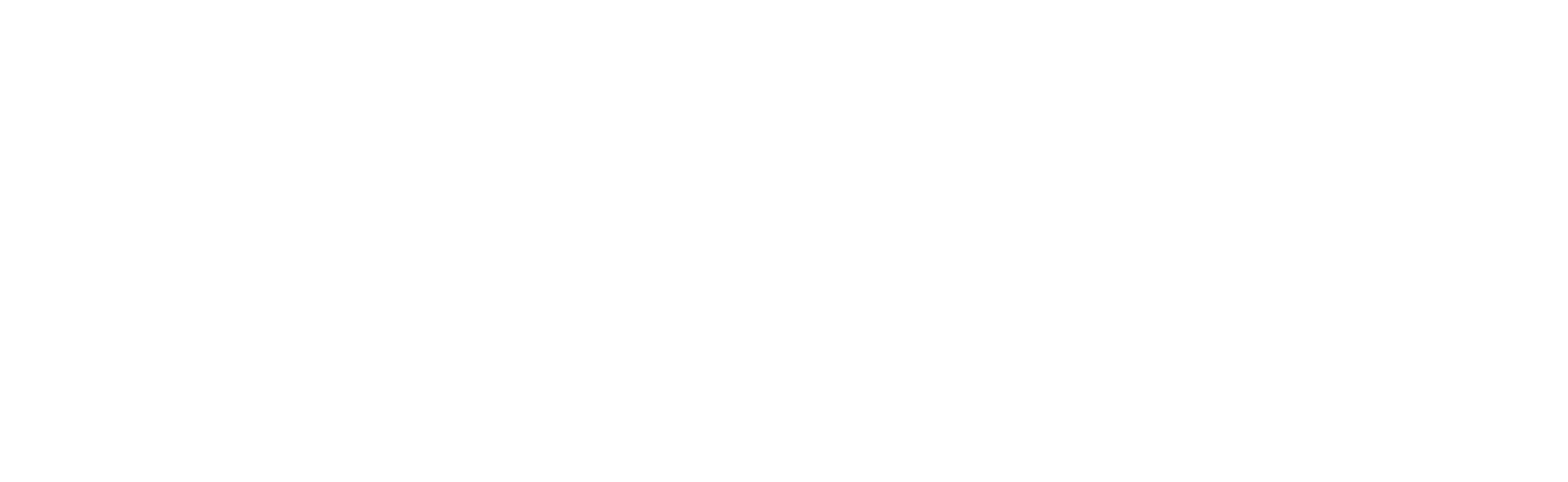 FEST-acronym Schriftzug: Functional Esthetic Smile Technique